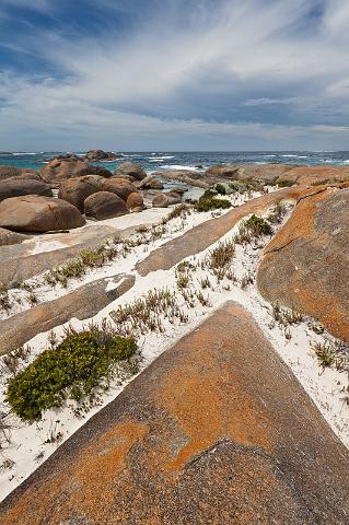 124 William Bay NP.jpg